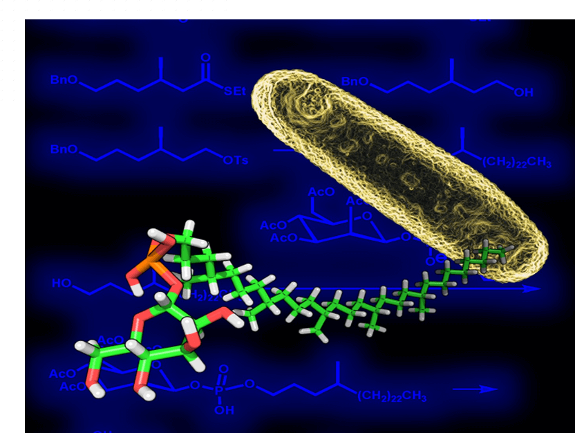 Mycobacterium Tuberculosis